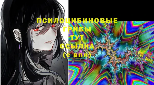стафф Переславль-Залесский