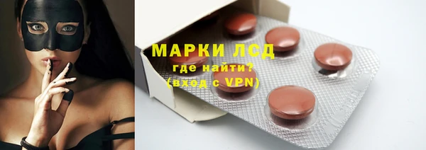 винт Пересвет