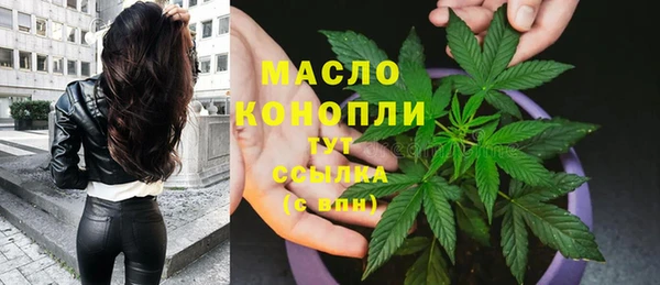 винт Пересвет