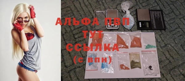 дмт Пестово