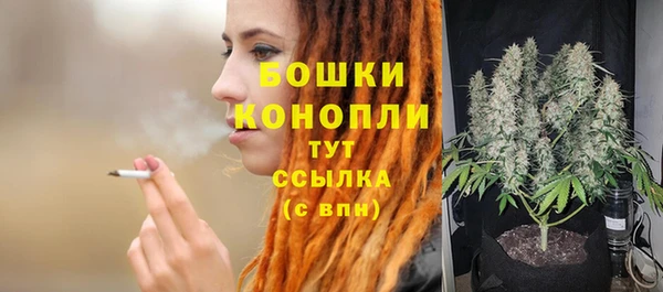 сатива Бикин