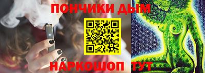 гидра Камышлов
