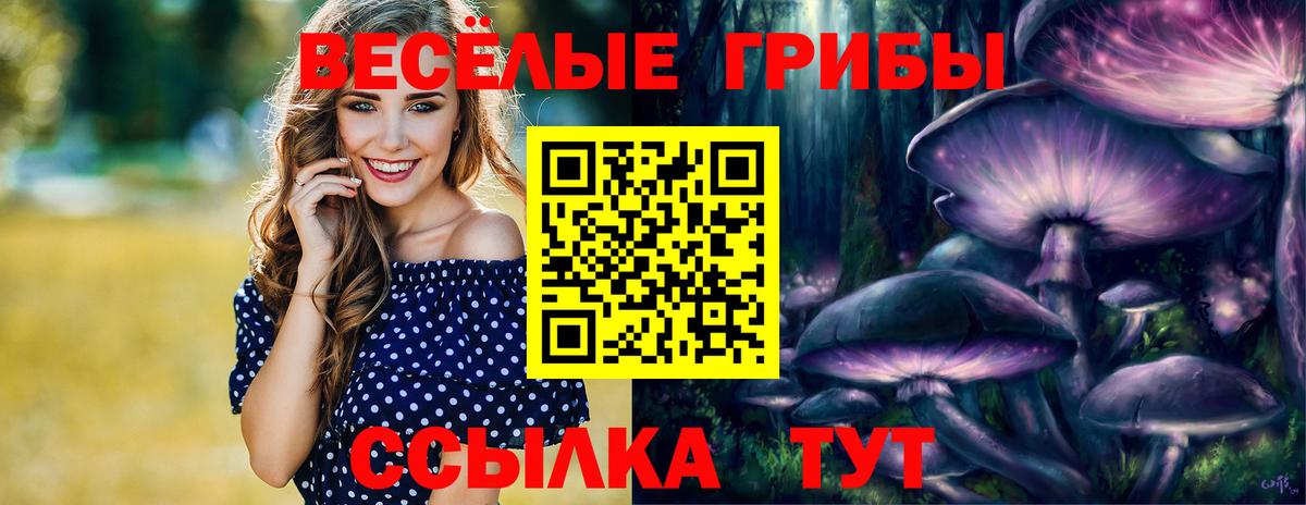 Псилоцибиновые грибы GOLDEN TEACHER  Псилоцибиновые грибы Cubensis  Вход с VPN  Москва 