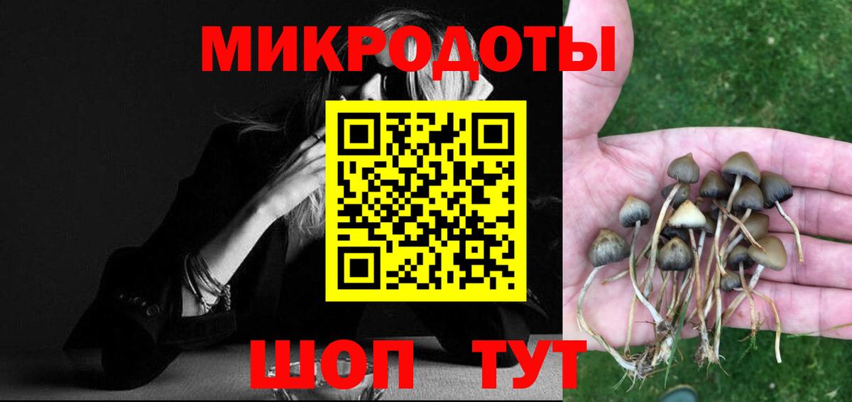 Псилоцибиновые грибы мицелий Москва